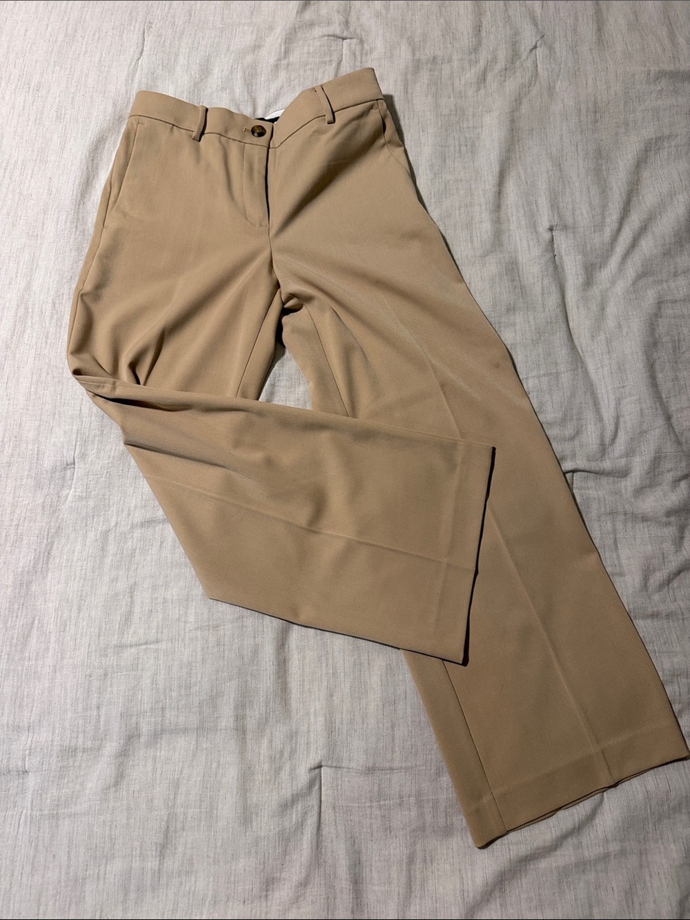 Ann Taylor Wide-Leg Dress Pants in Tan